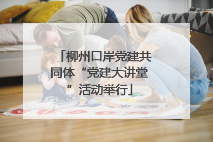 柳州口岸党建共同体“党建大讲堂”活动举行