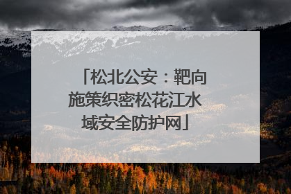 松北公安：靶向施策织密松花江水域安全防护网