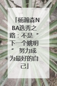杨瀚森NBA选秀之路：不是“下一个姚明” 努力成为最好的自己