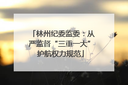 林州纪委监委：从严监督“三重一大” 护航权力规范