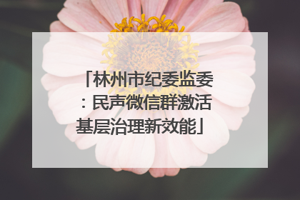 林州市纪委监委：民声微信群激活基层治理新效能