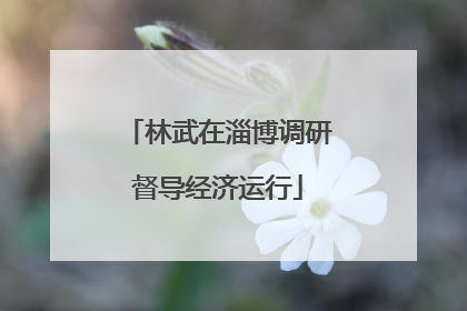 林武在淄博调研督导经济运行