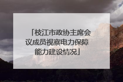 枝江市政协主席会议成员视察电力保障能力建设情况