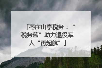 枣庄山亭税务：“税务蓝”助力退役军人“再起航”