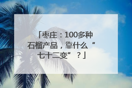 枣庄：100多种石榴产品，靠什么“七十二变”？