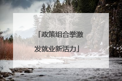 政策组合拳激发就业新活力