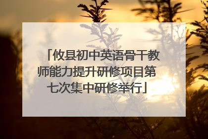 攸县初中英语骨干教师能力提升研修项目第七次集中研修举行