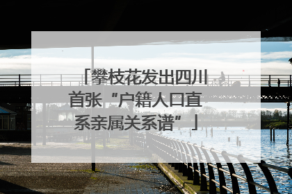 攀枝花发出四川首张“户籍人口直系亲属关系谱”