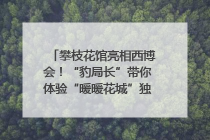 攀枝花馆亮相西博会！“豹局长”带你体验“暖暖花城”独特魅力｜西博视界