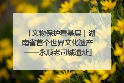 文物保护看基层|湖南省首个世界文化遗产——永顺老司城遗址