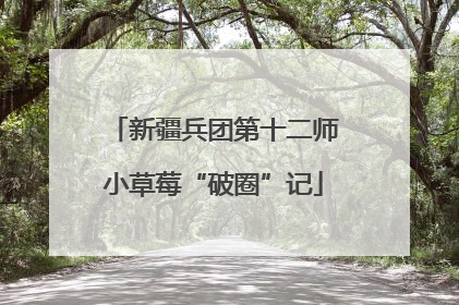 新疆兵团第十二师小草莓“破圈”记
