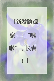 新发路观察+｜“哦啦”，长春！