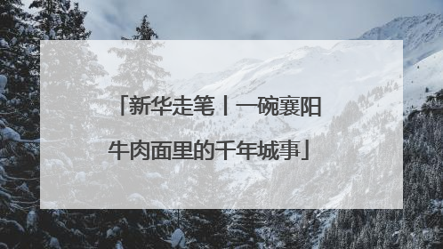 新华走笔丨一碗襄阳牛肉面里的千年城事