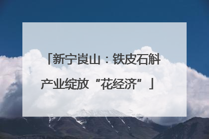 新宁崀山：铁皮石斛产业绽放“花经济”