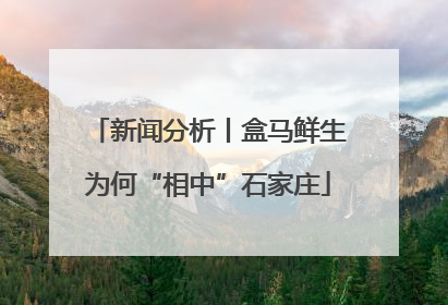 新闻分析丨盒马鲜生为何“相中”石家庄