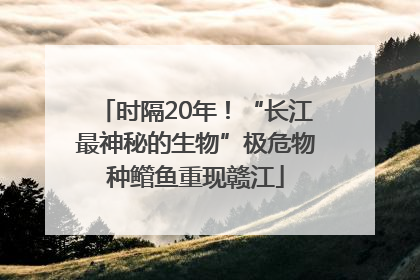 时隔20年！“长江最神秘的生物”极危物种鳤鱼重现赣江