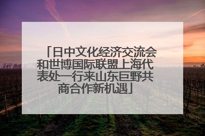 日中文化经济交流会和世博国际联盟上海代表处一行来山东巨野共商合作新机遇
