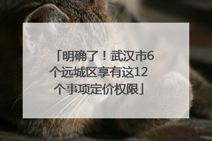 明确了！武汉市6个远城区享有这12个事项定价权限