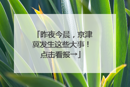 昨夜今晨，京津冀发生这些大事！点击看报→