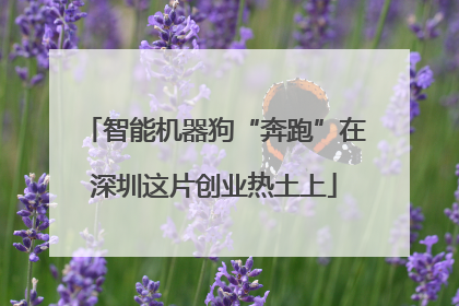 智能机器狗“奔跑”在深圳这片创业热土上