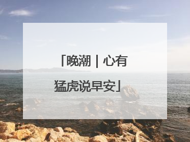 晚潮｜心有猛虎说早安