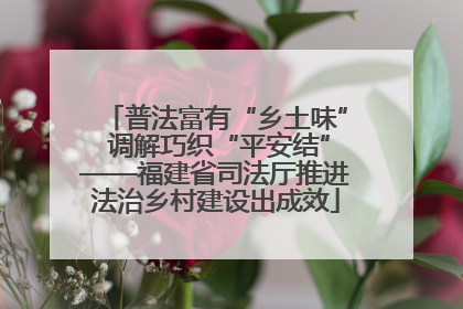 普法富有“乡土味” 调解巧织“平安结”——福建省司法厅推进法治乡村建设出成效