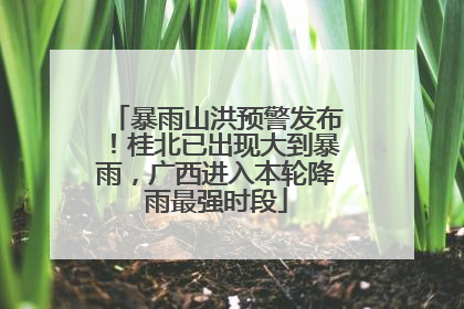暴雨山洪预警发布！桂北已出现大到暴雨，广西进入本轮降雨最强时段