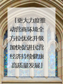更大力度推动营商环境全方位优化升级加快促进民营经济持续健康高质量发展