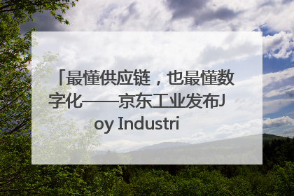 最懂供应链，也最懂数字化——京东工业发布Joy Industrial 重塑工业未来