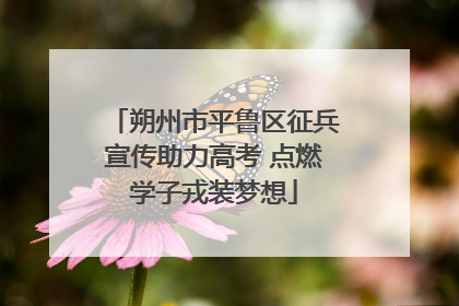 朔州市平鲁区征兵宣传助力高考 点燃学子戎装梦想