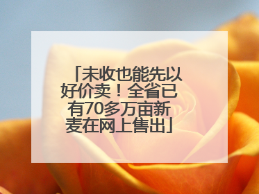 未收也能先以好价卖！全省已有70多万亩新麦在网上售出