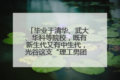 毕业于清华、武大、华科等院校，既有新生代又有中生代，光谷这支“理工男团”为何“出道”？