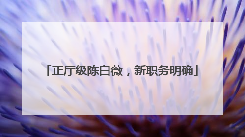 正厅级陈白薇，新职务明确