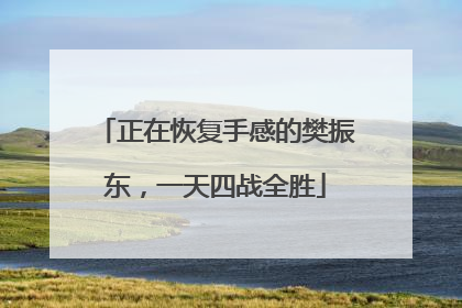 正在恢复手感的樊振东，一天四战全胜