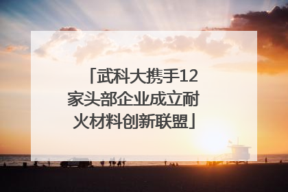 武科大携手12家头部企业成立耐火材料创新联盟