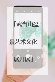 武当山盆景艺术文化展开展