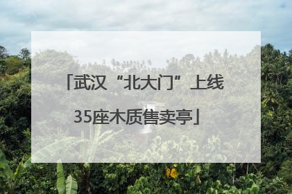 武汉“北大门”上线35座木质售卖亭