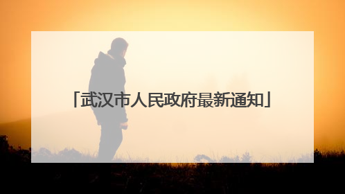 武汉市人民政府最新通知