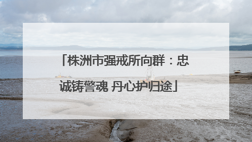 株洲市强戒所向群：忠诚铸警魂 丹心护归途