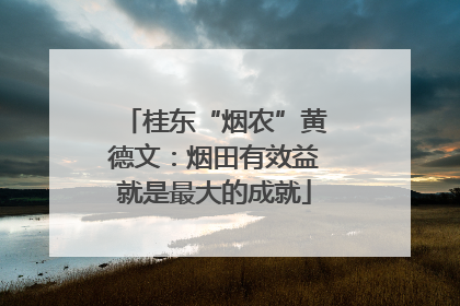 桂东“烟农”黄德文：烟田有效益就是最大的成就