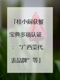 桂小厨获餐宝典多项认证：“广西菜代表品牌”等