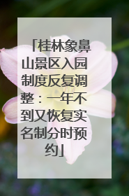 桂林象鼻山景区入园制度反复调整：一年不到又恢复实名制分时预约