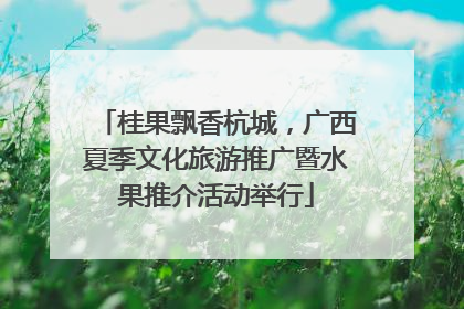 桂果飘香杭城，广西夏季文化旅游推广暨水果推介活动举行