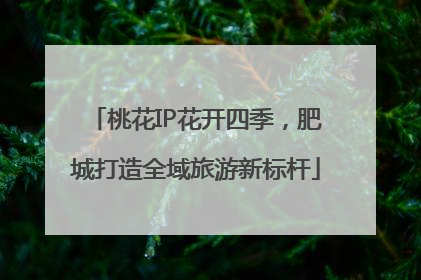 桃花IP花开四季,肥城打造全域旅游新标杆