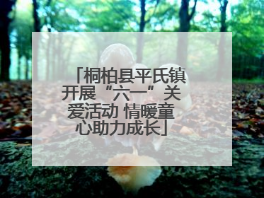 桐柏县平氏镇开展“六一”关爱活动 情暖童心助力成长