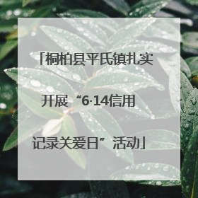 桐柏县平氏镇扎实开展“6·14信用记录关爱日”活动