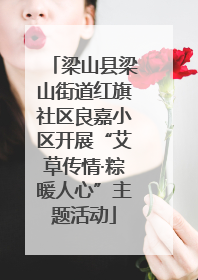 梁山县梁山街道红旗社区良嘉小区开展“艾草传情·粽暖人心”主题活动