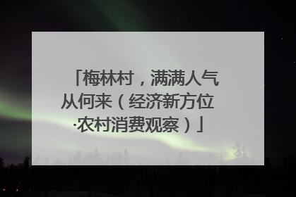 梅林村，满满人气从何来（经济新方位·农村消费观察）