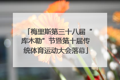 梅里斯第三十八届“库木勒”节暨第十届传统体育运动大会落幕