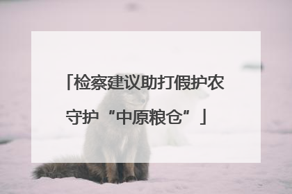检察建议助打假护农守护“中原粮仓”